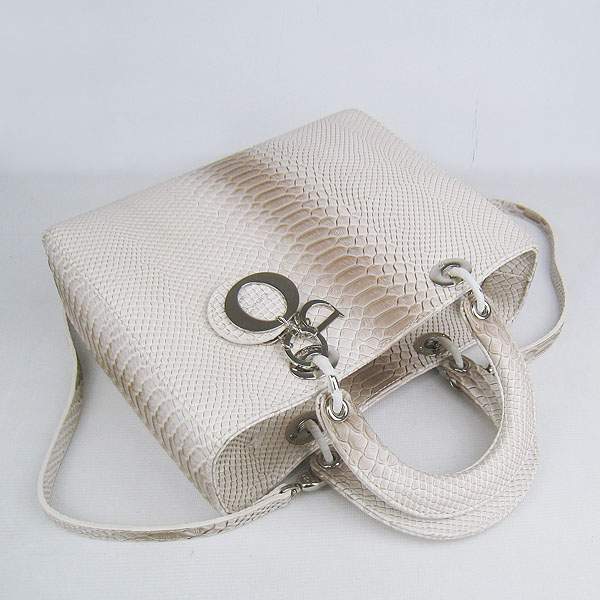 Christian Dior 1886 Snake Leather Shoulder Bag-Gray